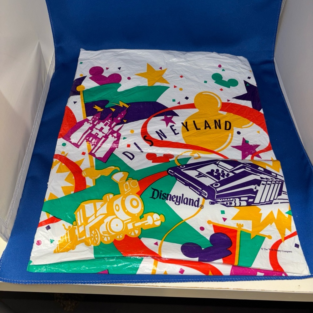 VNTG Disneyland Bag Colorful Graphics Rides Walt Disney 12 By 15 90s Y2K